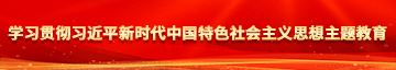 抽插性感美女观看学习贯彻习近平新时代中国特色社会主义思想主题教育