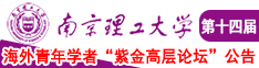 塞嫩逼视频网址南京理工大学第十四届海外青年学者紫金论坛诚邀海内外英才！
